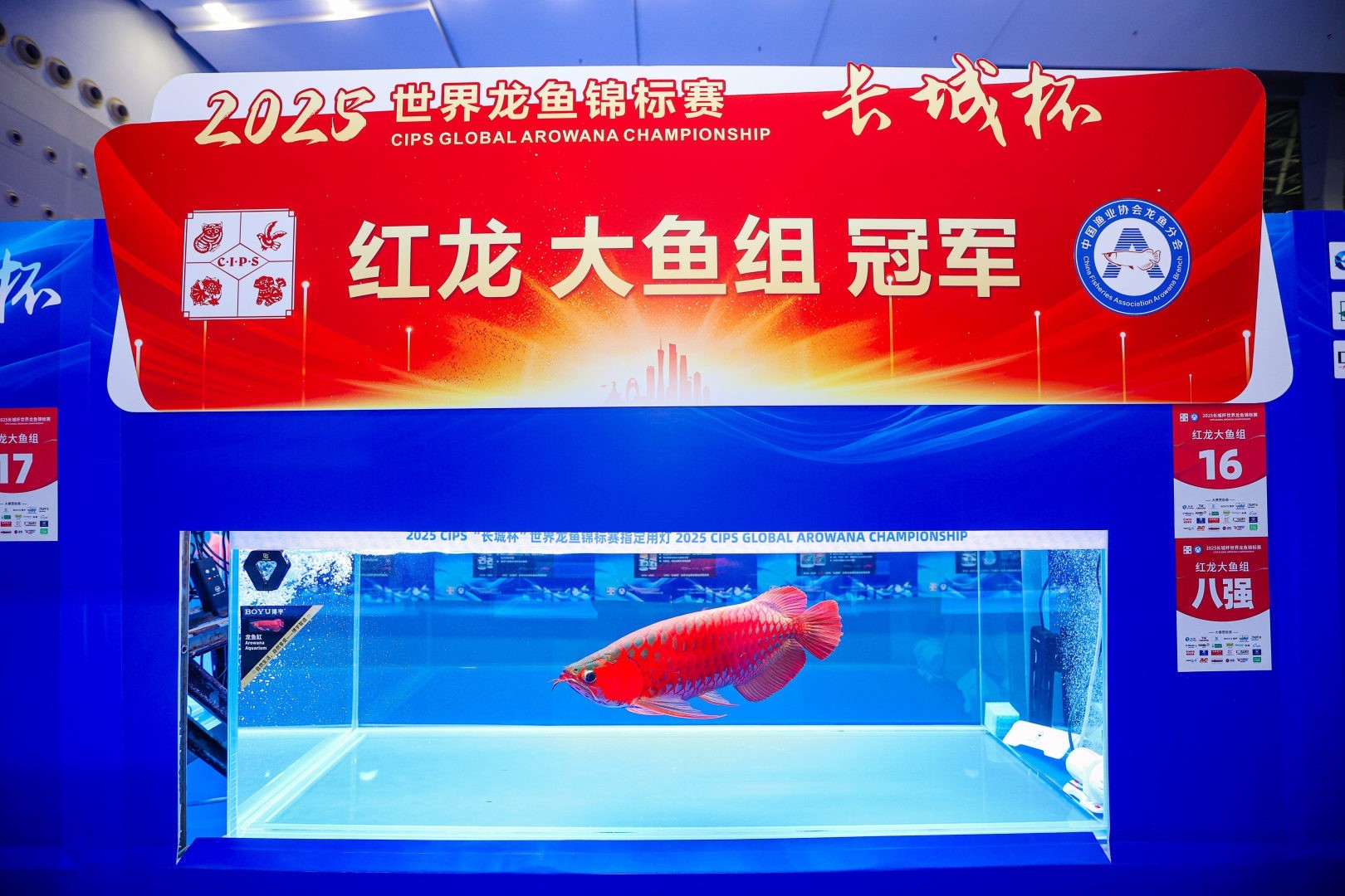 2025 長(zhǎng)城杯世界龍虎魟魚錦標(biāo)賽（全場(chǎng)總冠軍）：2025長(zhǎng)城杯世界龍虎魟魚錦標(biāo)賽全場(chǎng)總冠軍